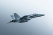 McDonnell Douglas F-18C Hornet